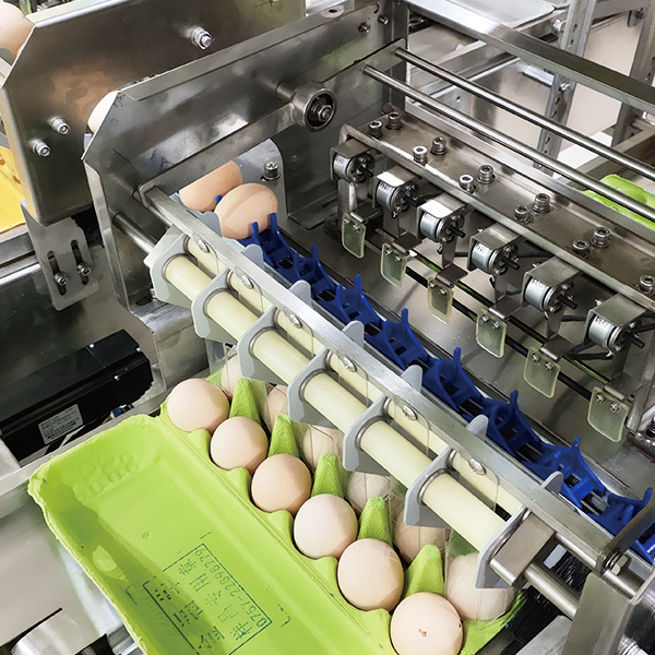Egg grader